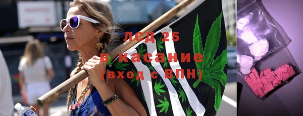 твердый Аркадак